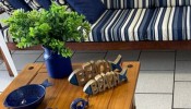 APARTAMENTO 2 DORMITORIOS